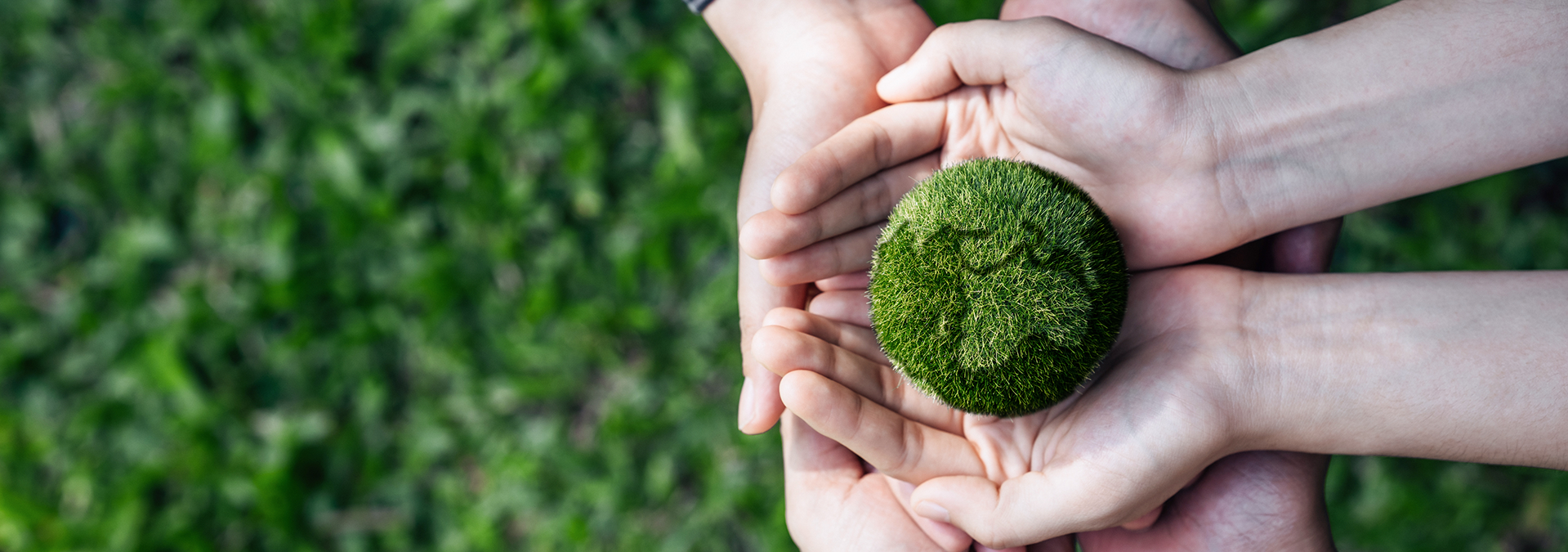 第一章、公司治理