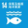 保育海洋生態